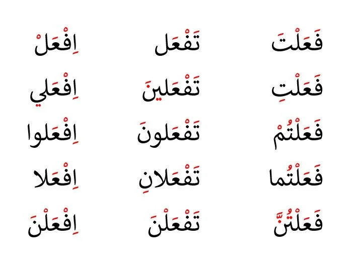 Understanding Verb Conjugations and Patterns in Arabic Blog Image 1